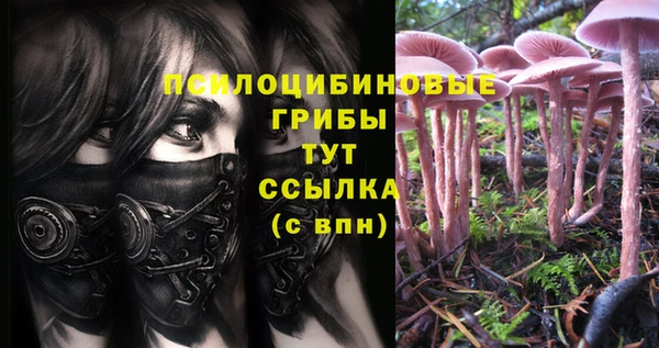 PSILOCYBIN Алзамай