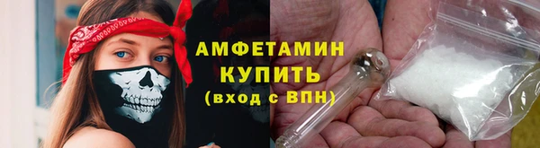 PSILOCYBIN Алзамай