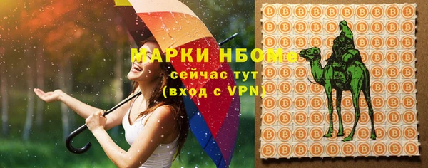 PSILOCYBIN Алзамай