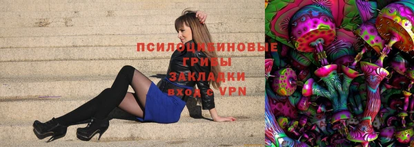 PSILOCYBIN Алзамай