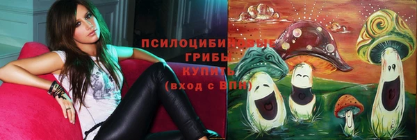 кокаин премиум Алексеевка