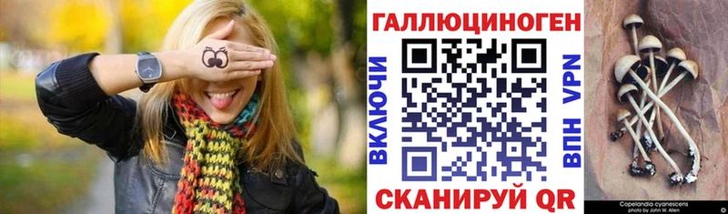 Галлюциногенные грибы Cubensis  наркошоп  Макушино 